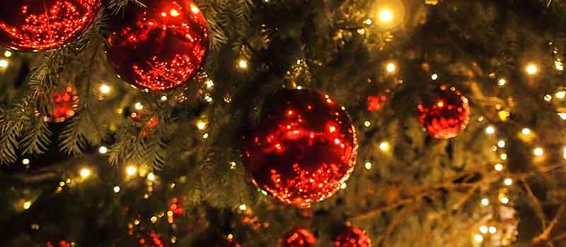 Dammer Weihnachtsbaum 2015